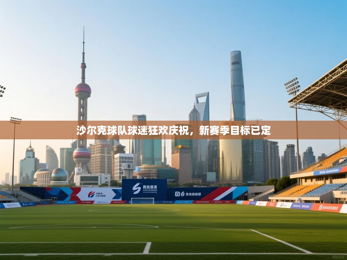 沙尔克球队球迷狂欢庆祝,新赛季目标已定 第2张