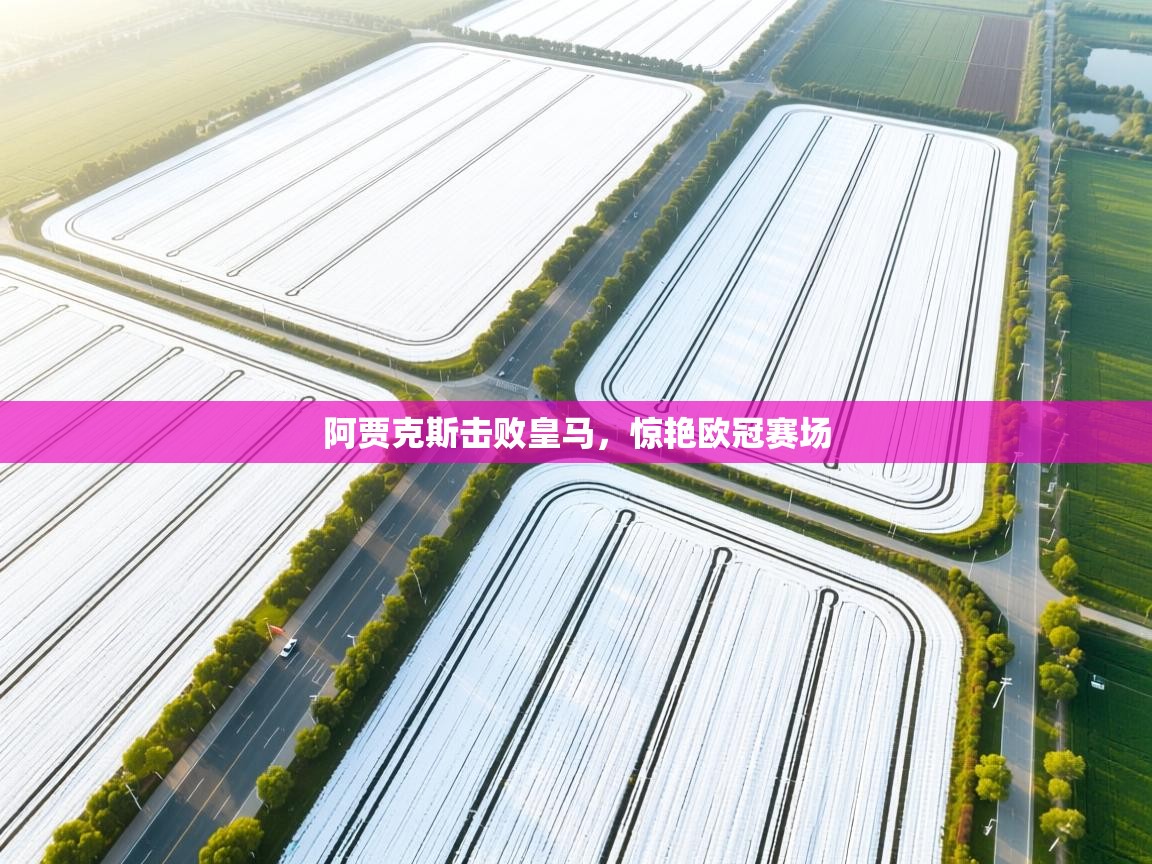 阿贾克斯击败皇马，惊艳欧冠赛场  第2张