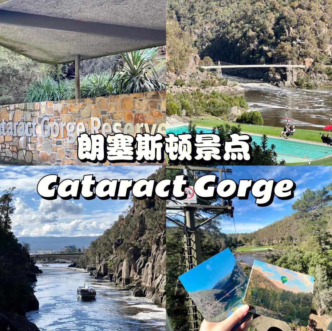 关于塔斯马尼亚联球迷现场助威，激发球队夺冠斗志的信息