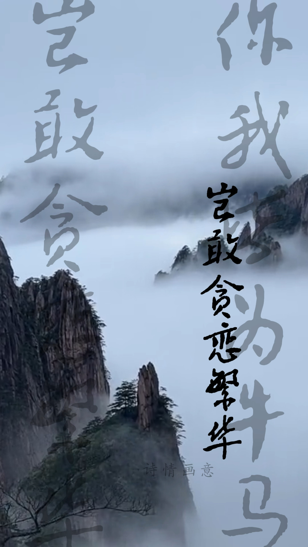 小牛主将风光不再，主场失守短暂颓势